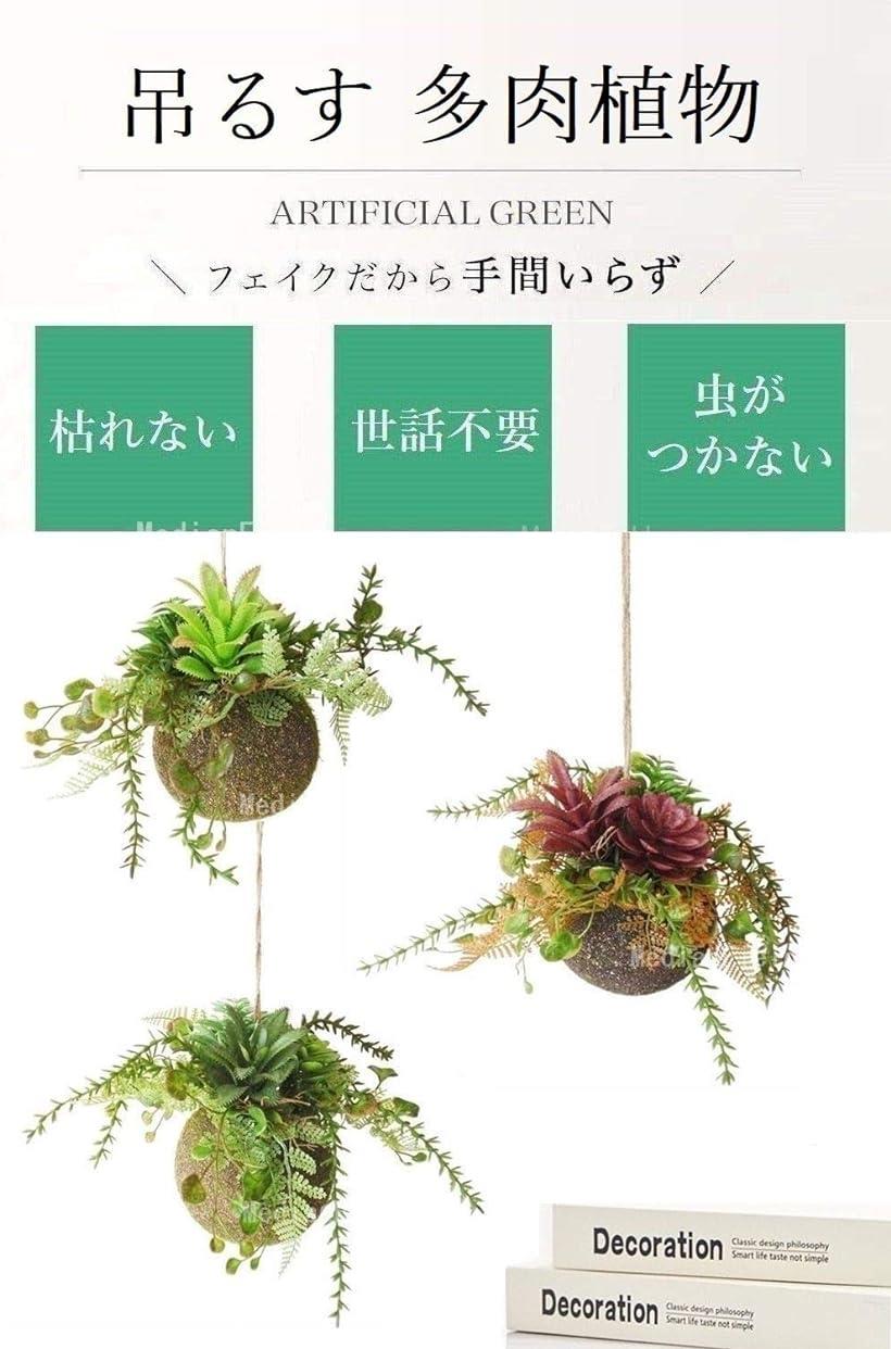 楽天市場 多肉植物 フェイク 苔玉 麻ひも 付き 観葉植物 フェイクグリーン 造花 吊り 人工観葉植物 サボテン インテリア おしゃれ 雑貨 ハンギング ギフト モス 緑 Reapri