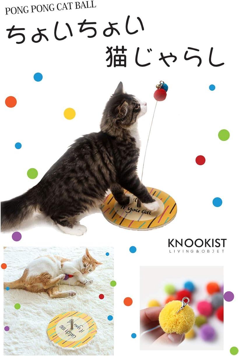 楽天市場 ちょいちょい猫じゃらし 猫おもちゃ ネコ ねこ 遊び 日本語説明書 Catch Me If You Catch Me If You Cat Reapri