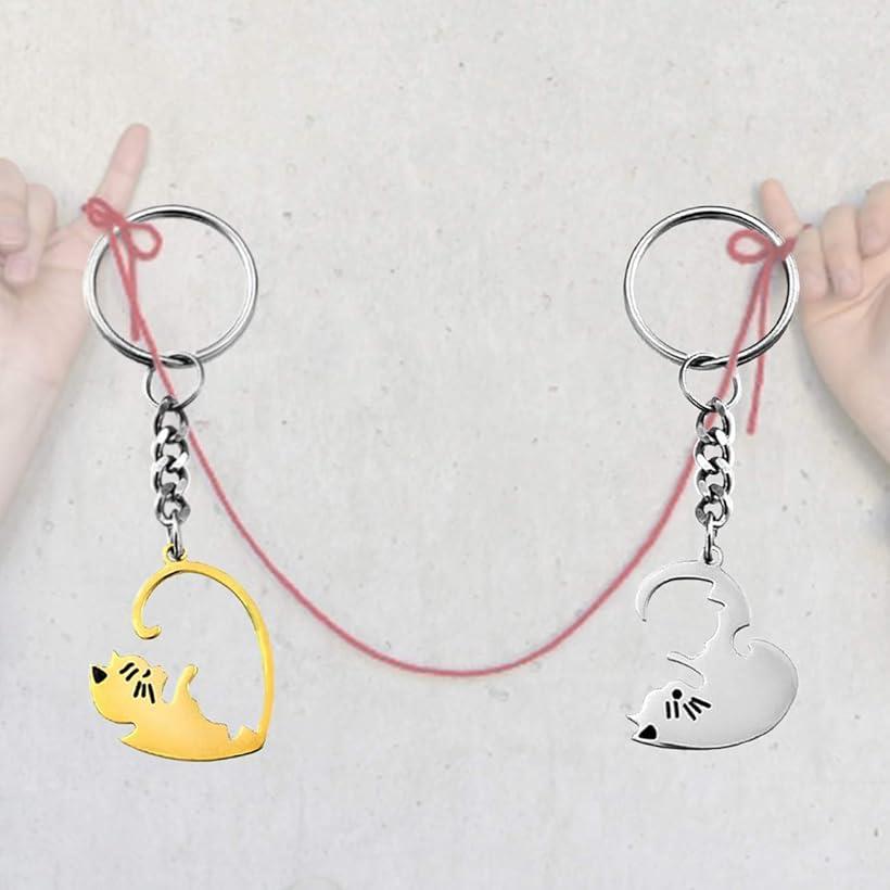 楽天市場 猫 キーホルダー ペア カップル キーリング ネコちゃん ステンレス製 プレゼント 金色と銀色 S Reapri