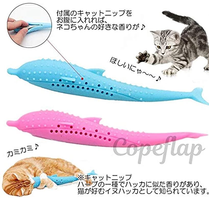 楽天市場 猫歯ブラシ 猫用おもちゃ ねこのおもちゃ ネコ 魚 歯磨き ホワイト Reapri