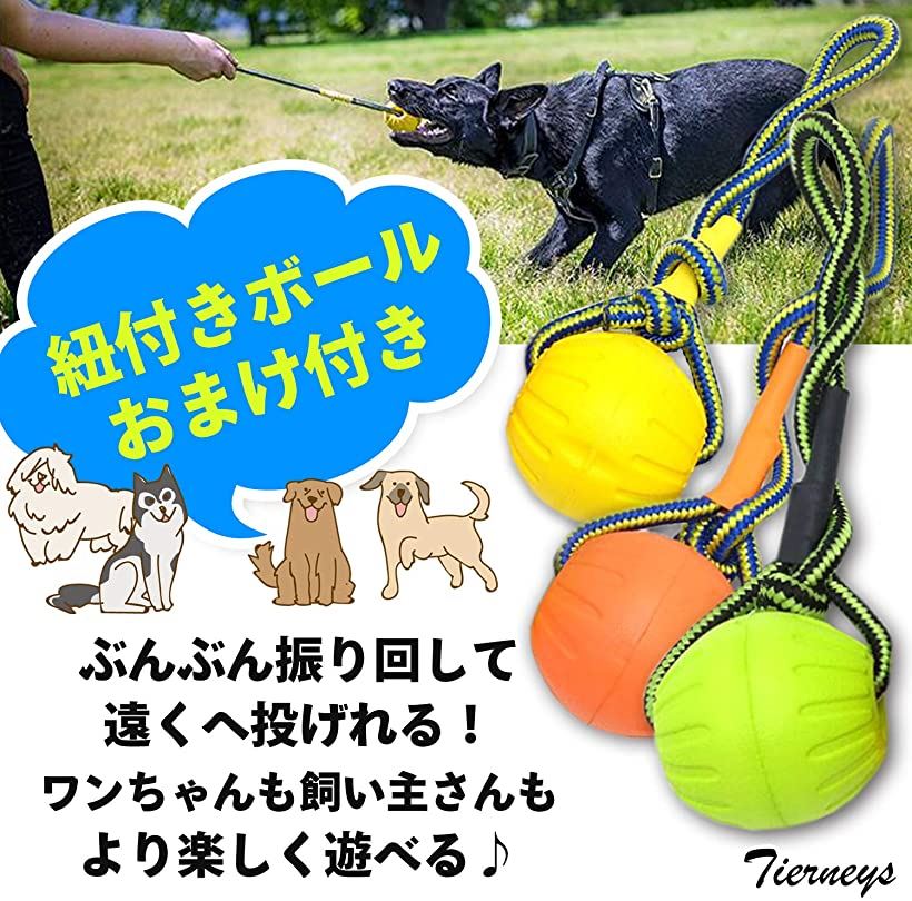 楽天市場 ティアニーズ大型犬向け 30cm フィットネスリング 9cm 紐付きボール セット 噛むおもちゃ インドア アウトドア 投げるおもちゃ グリーン Reapri