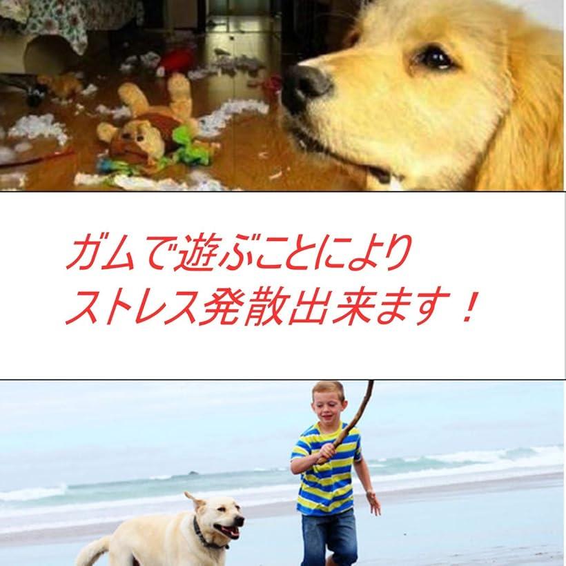 楽天市場 犬おもちゃ 玩具 噛む 投げる ロープ ストレス ストレス解消 ペット 中型犬 大型犬 黄色 60cm イエロー Reapri