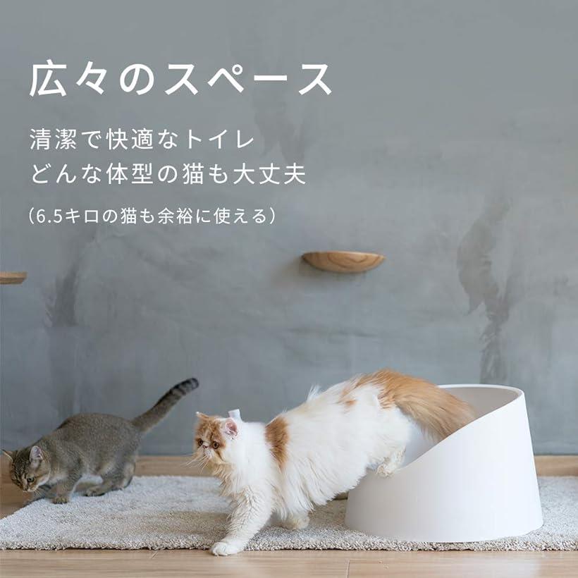 セール30 Off 猫トイレ オープン ホワイト Pidan 猫トイレ オープン ホワイト 即納最大半額 R4urealtygroup Com