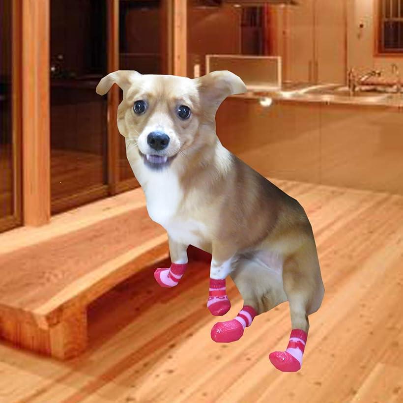 犬用ソックス 靴下 S ブラック 滑り止め 面ファスナー付き 4個セット 最大84 Offクーポン 滑り止め 犬用ソックス 靴下 S ブラック 滑り止め 面ファスナー付き 4個セット 最大84 Offクーポン 滑り止め