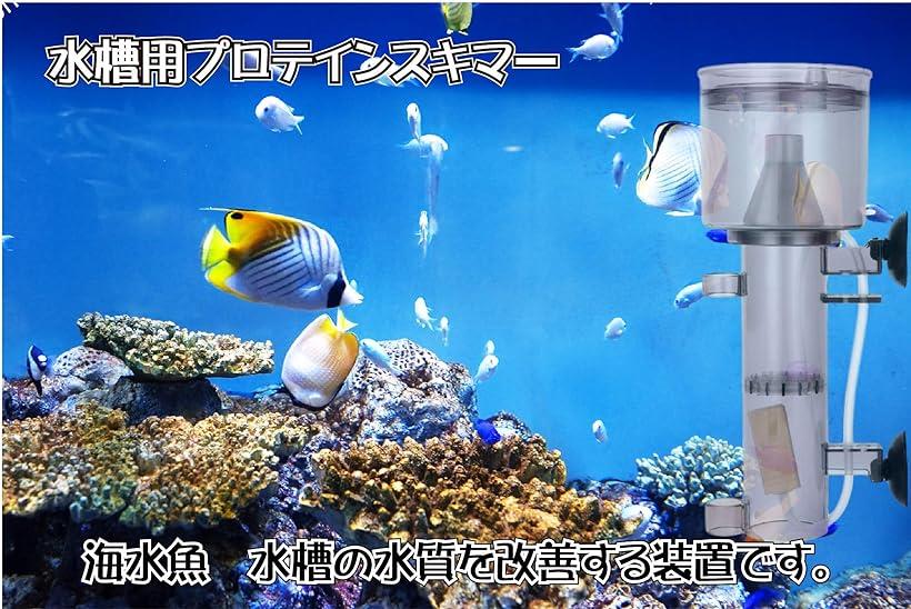 楽天市場 水槽用 水質改善 装置 スキマー 海水魚飼育用 タンパク質 23cm 小型 23cm 小型 Reapri