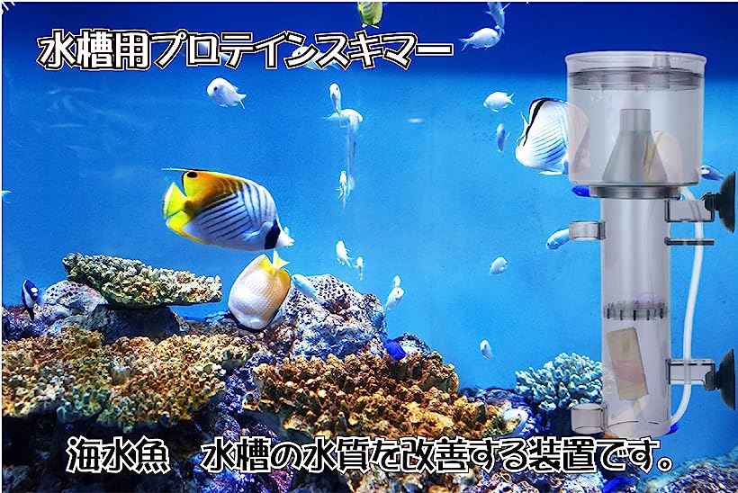 楽天市場 水槽用 水質改善 装置 スキマー 海水魚飼育用 タンパク質 28cm 中型 28cm 中型 Reapri