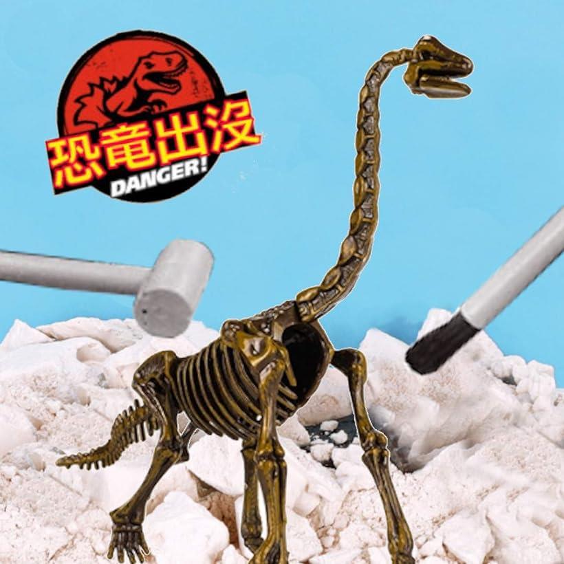 楽天市場 恐竜化石発掘 おもちゃ 発掘キット 恐竜の骨 Brachiosaurus Reapri