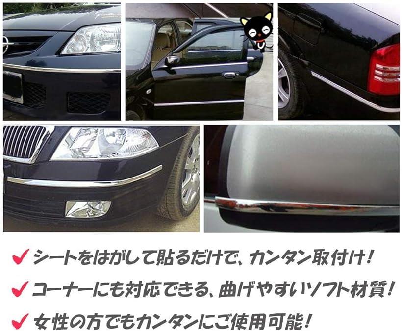 楽天市場 車用 メッキ テープ モール アクセサリー シルバー 8mm 30mm 全長15m Mdm 銀 10mm Reapri