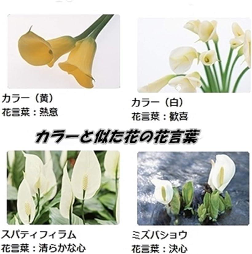 楽天市場 美々杏鉢植えフェイクフラワー 人工観葉植物 カラー 橙 Reapri