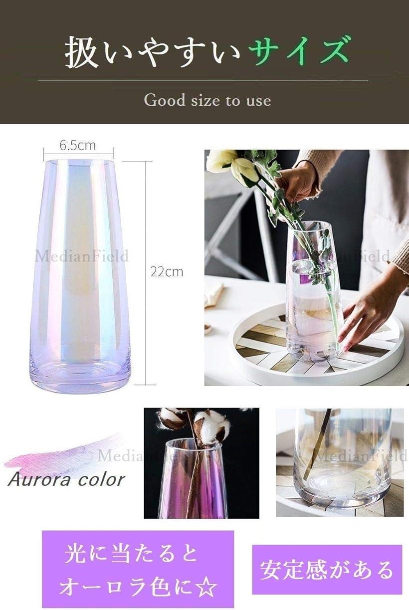 楽天市場 花瓶 ガラス おしゃれ 北欧風 一輪挿し アンティーク フラワーベース モダン シンプル オーロラ オーロラ Reapri