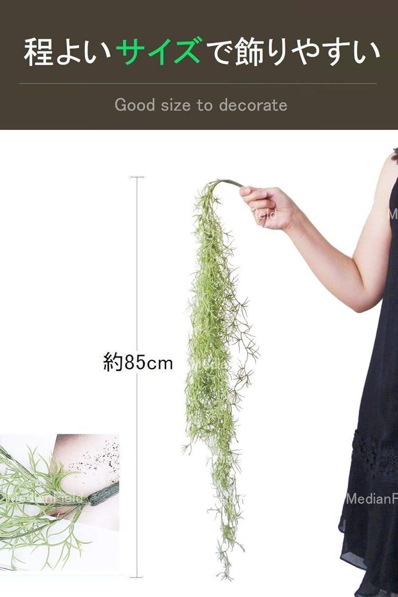 楽天市場 フェイクグリーン スパニッシュモス 2本 セット 観葉植物 壁掛け インテリア 雑貨 造花 人工 ハンギング 緑 吊り モス Reapri