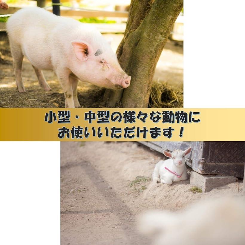 アンカー 係留ステッキ ドッグポール リード ロープ 犬 ペット ハーネス 金属 ワイヤーロープ Giosenglish Com