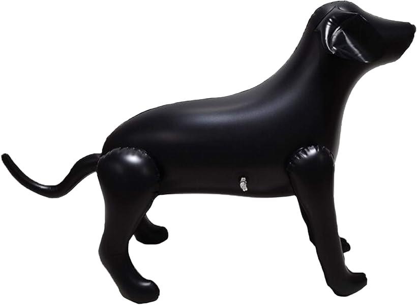 楽天市場 犬 マネキン エアートルソー 空気式 Reapri