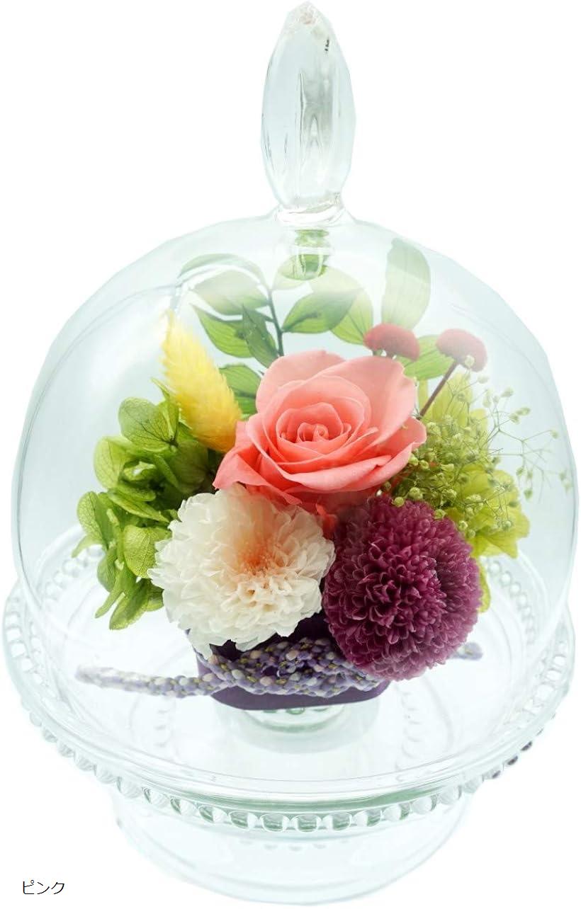 プリザーブドフラワー 鈴華 お供え ドーム型 長持ち 枯れない花 インテリア 仏壇用 敬老 ピンク Lagom 長期間楽しむ為に 必要がなく安心です Volleybalcluboegstgeest Nl
