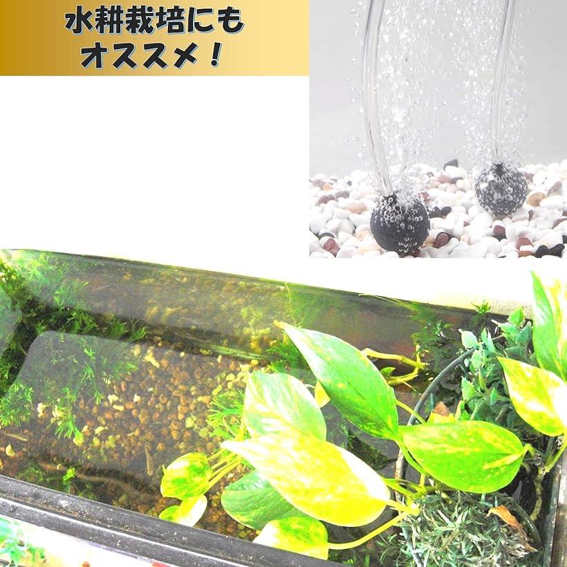 楽天市場 エアーストーン 個セット 直径2cm エアーポンプ 熱帯魚 アクアリウム 酸素 水耕栽培 メダカ 金魚 Reapri