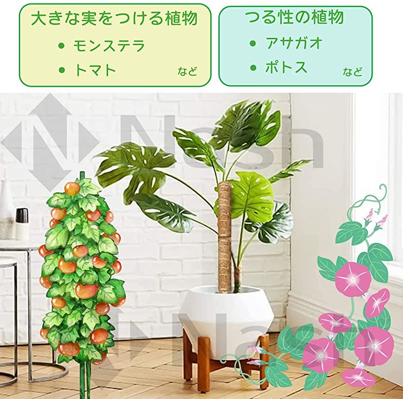 楽天市場 園芸 支柱 30cm 植物 蔓 花ささえ 連結 延長 木製 ココナッツ 支え ガーデニング 茶色 Reapri