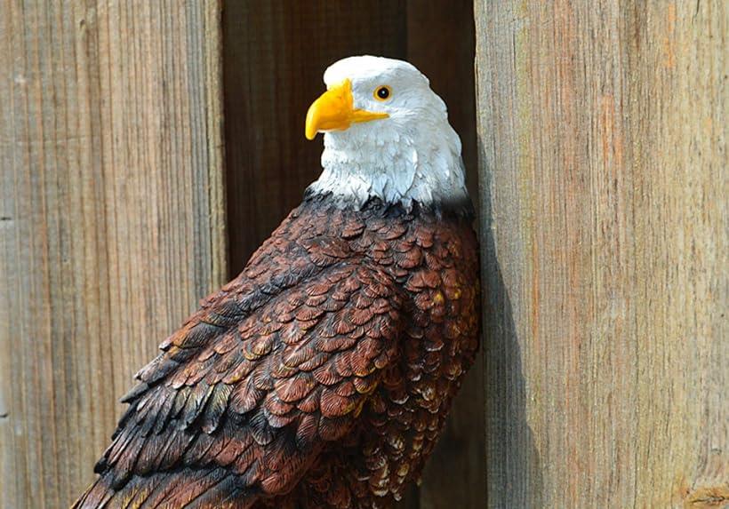 楽天市場 鷹 置物 大迫力 30cm級 鳥よけ カラス 撃退 ベランダ鳩よけ コウモリ 害鳥 害獣 庭 オブジェ Reapri