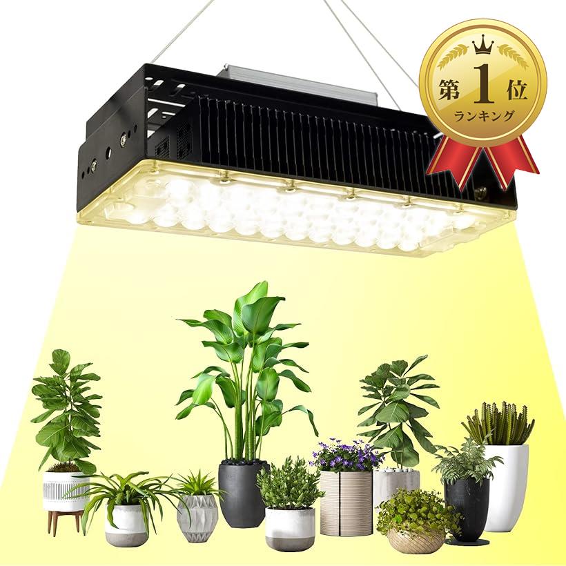 植物育成ライト 700w | 植物の成長ライト、50w植物の満ち光 | vladatk