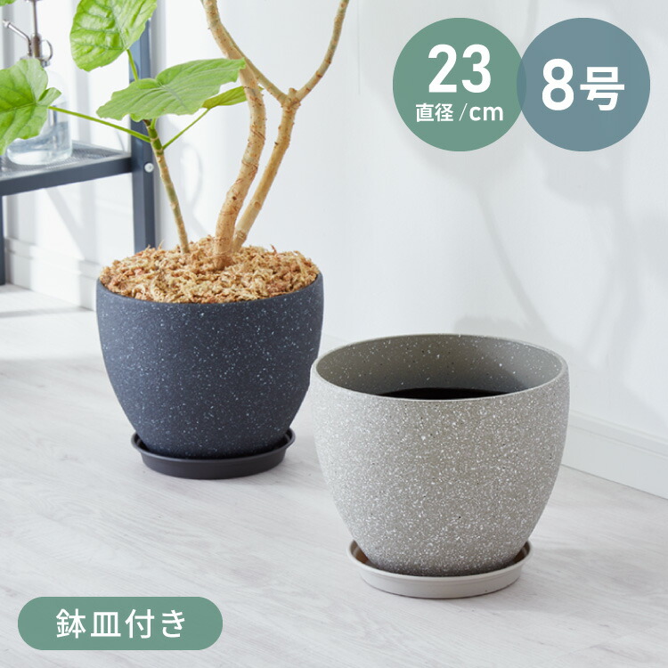 楽天市場】植木鉢 おしゃれ 受け皿付き 人気 おすすめ プランター