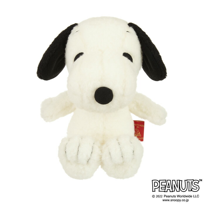 遊んでスヌーピー　ぬいぐるみ　2点セット　スヌーピー　SNOOPY 遊んでスヌーピー ぬいぐるみ 2点セット スヌーピー SNOOPY 遊ん