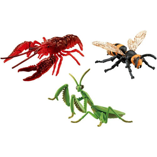 楽天市場】アニア AA-02 海のいきものハンターセット (水に浮く