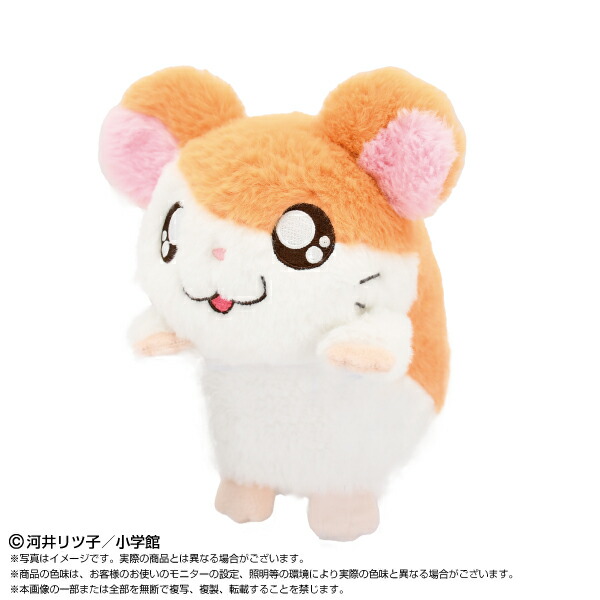 とっくん Amazon.co.jp: とっとこハム太郎 ハムちゃんずコレクション