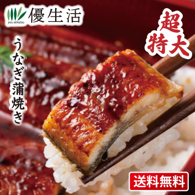 送料無料 特大うなぎ蒲焼き3尾セット