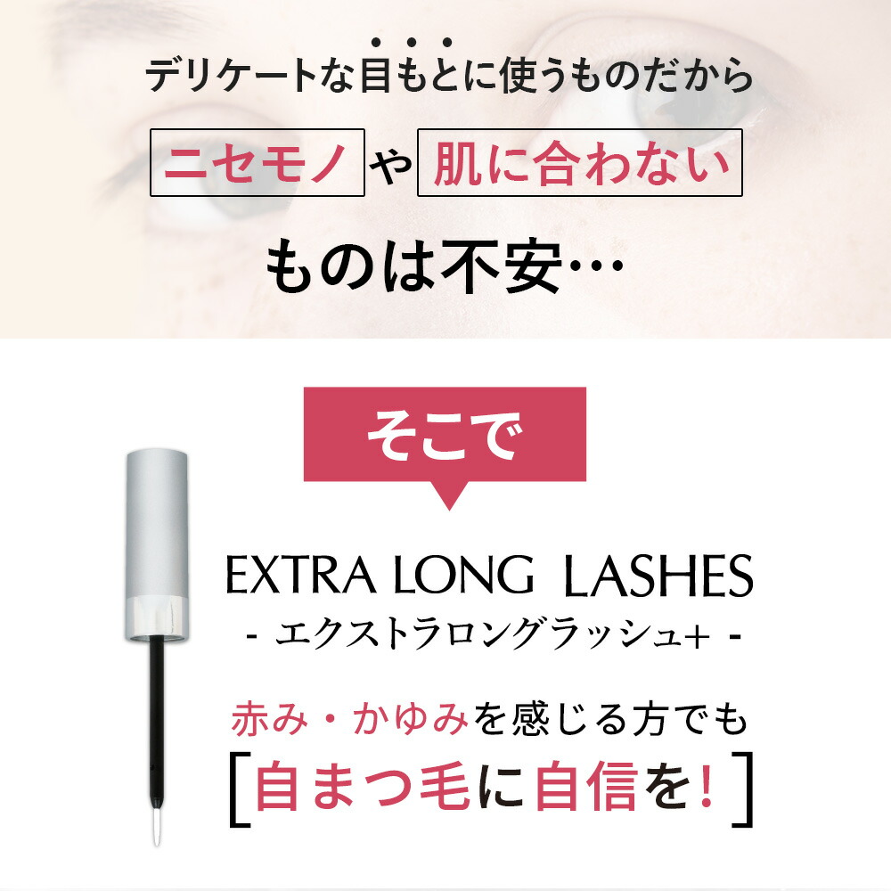 12/4 20:00-12/11 1:59 最大20%オフクーポン】【公式】エクストラ