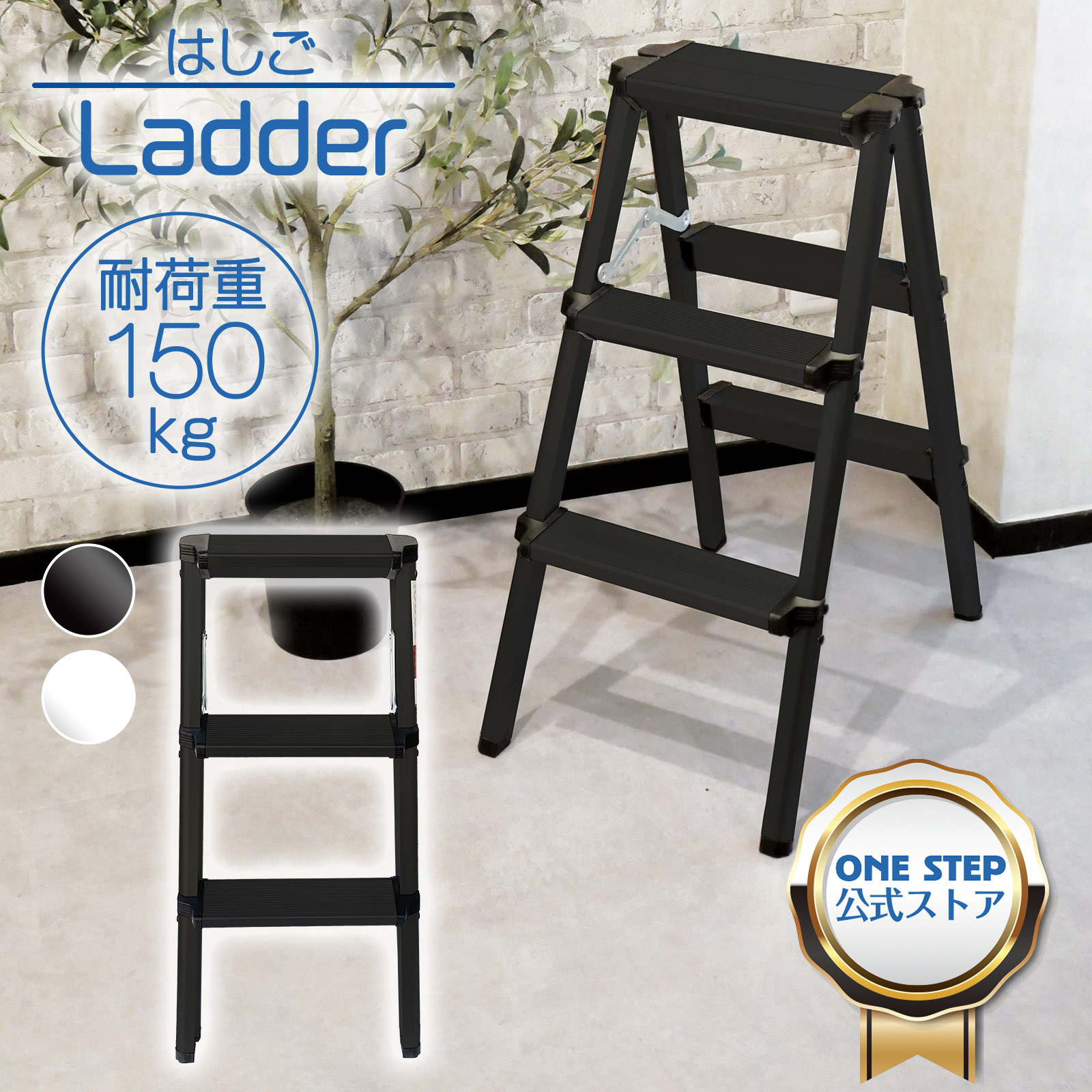 ladder02.jpg