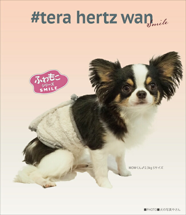 ボア ベルクロテラバンド 服 冬 暖かい 防寒 ベルト ペット 犬 クークチュール 春 夏 男の子用 バンド ドッグ ペットウェア 秋 腹巻