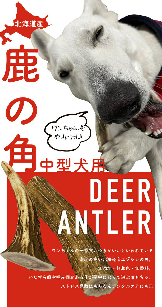 北海道産 鹿の角 蝦夷鹿 エゾ鹿 犬のおもちゃ 中型犬 大型犬 ドッグラン いたずら防止 噛み癖 防止 プレゼント ギフト ドッグフード 犬のおやつ 歯磨き 口臭予防 デンタルケア 愛犬 ストレス発散 超話題新作