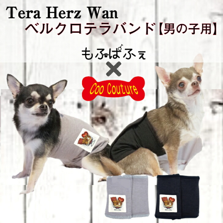 市場 もふぱふぇ 防寒 バンド 男の子用 クークチュール ベルト 犬 ベルクロテラバンド 腹巻 ペット ドッグ 服 オリジナル