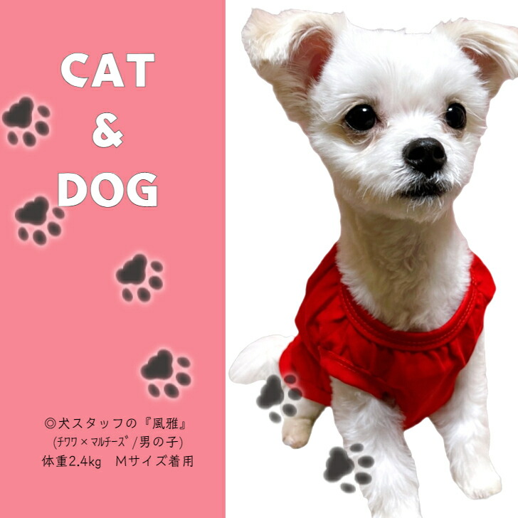 ランキングtop10 Adidog Tシャツ タンクトップ ドッグウェア お洒落 春夏 ペット 服 小型犬 犬 男の子 いぬ アウター 暖かい ドッグ アディドッグ 大型犬 中型犬 パーカー スポーティー カジュアル かっこいい コットン 防寒 日焼け 7色 Patrasnipatomarimpulso Com