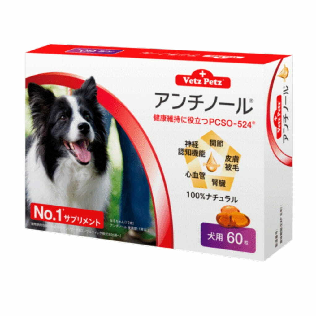 楽天市場 アンチノール 犬用60粒 健康 関節 腎臓 心血管 認知症 サプリメント 送料無料 当日発送 Y S Plus