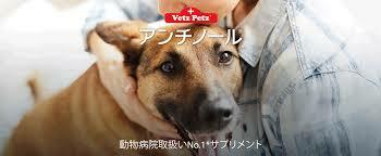 楽天市場 アンチノール 犬用60粒 健康 関節 腎臓 心血管 認知症 サプリメント 送料無料 当日発送 Y S Plus