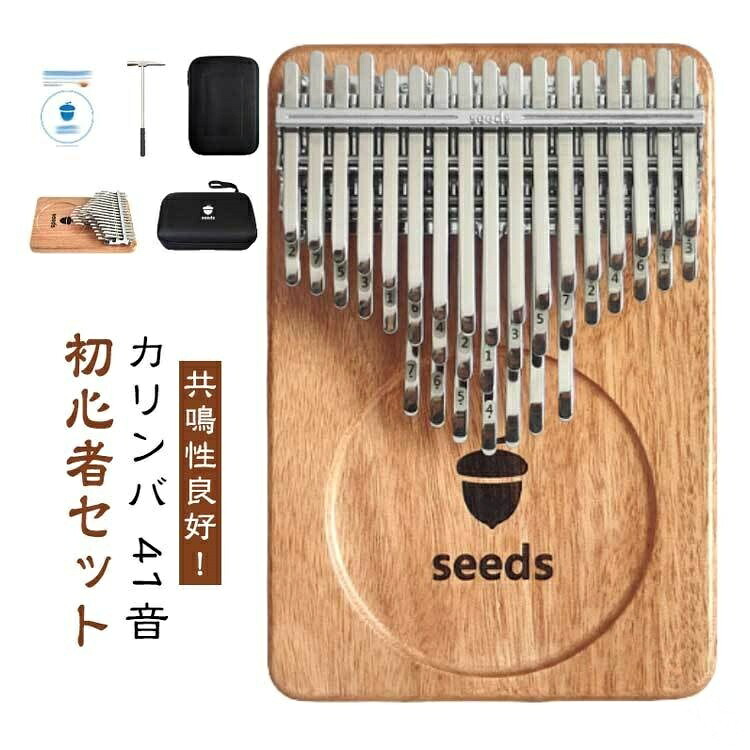 【早い者勝ち！SALE限定！600円OFF＋SSP5倍で超お得！】ケース付き 41音 親指ピアノ 初心者セット 楽器 教本 入門書 チューニング済み 指サック サムピアノ おしゃれ 子供 チューナー付き 楽譜 8,928円