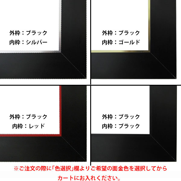 アルフレーム W-39 ステン 額縁 約85x72センチ 病院やリビング等+