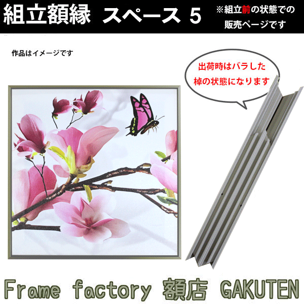 組立額縁【展示用額縁】S3サイズ(273×273mm) スペース５ チタン色 シルバー系 スクエア 正方形 ツヤ無し ノックダウン(組立前) 棹状 個展 インテリア 空間 家庭用 キャンバス パネル 油絵 仮縁【3,000円以上送料無料】