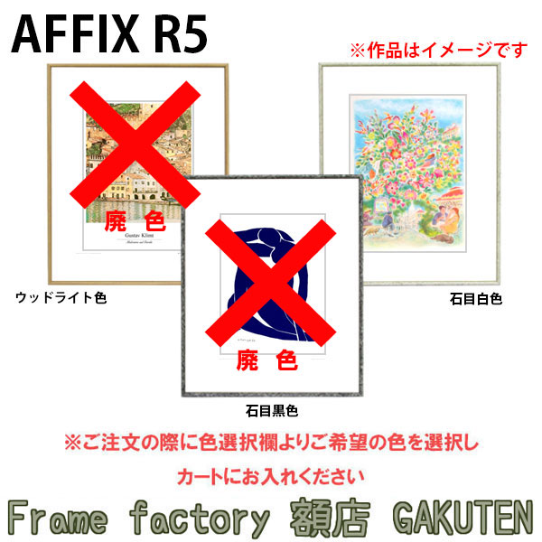 楽天市場】デッサン額縁 インチ(254×203mm) アフィックスR5【送料無料