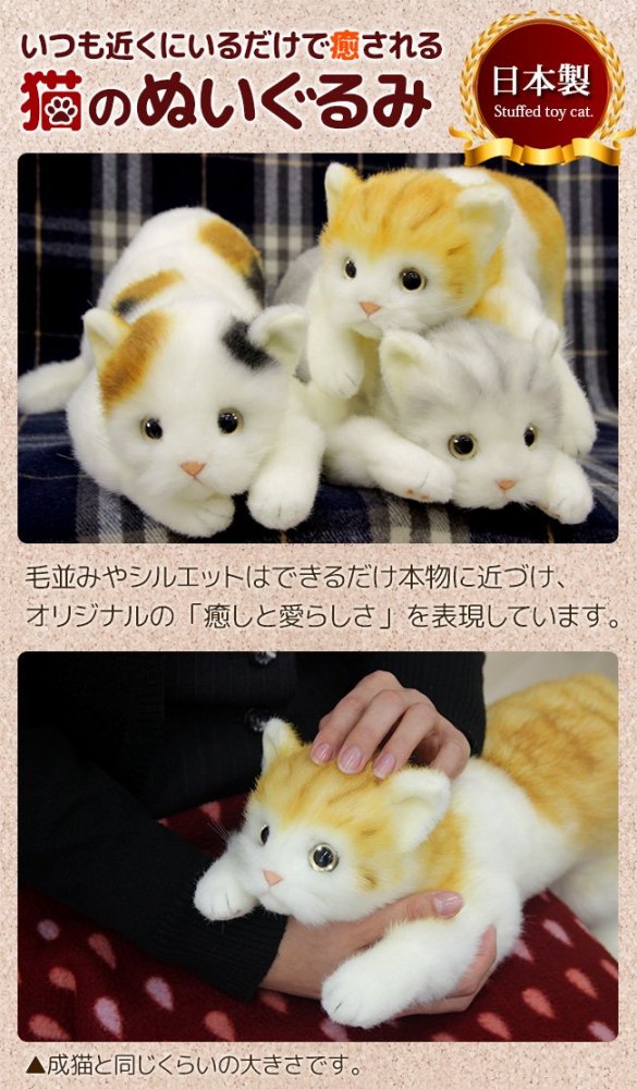 楽天市場 日本製 リアルな猫のぬいぐるみ 58cm クロネコl目明き 本物みたいな癒し猫 成猫 実物大 黒猫 ｙｓ企画