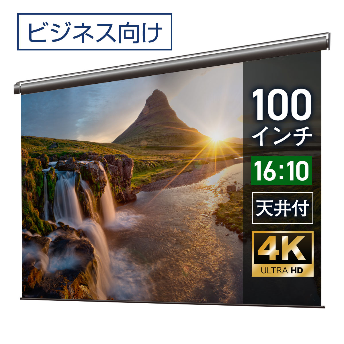 プロジェクタースクリーン 100インチ 吊り下げ シアターハウス 電動スクリーン WXGA 16:10 ビジネス 4K 送料無料 日本製 プロジェクター スクリーン 100 自動 電動 リモコン 天吊 壁掛け 会議 プレゼン 店舗 学校 授業 メイドインジャパン made in japan 生涯保証