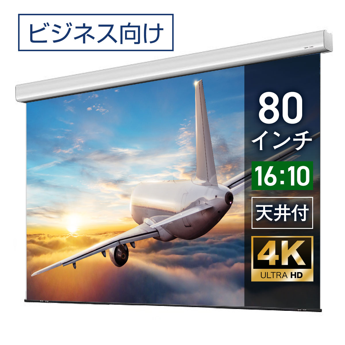 プロジェクタースクリーン 80インチ 吊り下げ シアターハウス 電動スクリーン WXGA 16:10 ビジネス 4K 送料無料 日本製 プロジェクター スクリーン 80 自動 電動 リモコン 天吊 壁掛け 会議 プレゼン 店舗 学校 授業 メイドインジャパン made in japan 生涯保証 ケース
