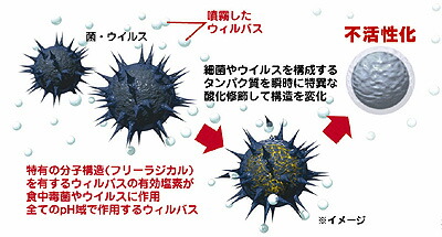 楽天市場 ウィルバス 100ppm ノロウイルス対策の必需品 安心安全の次亜塩素酸ナトリウムがノロウイルス対策 ウイルバス インフルエンザ 風邪予防 幼児 赤ちゃんにも安心してお使いいただけます 食品添加物殺菌料 食中毒予防 Ysショップ 楽天市場店