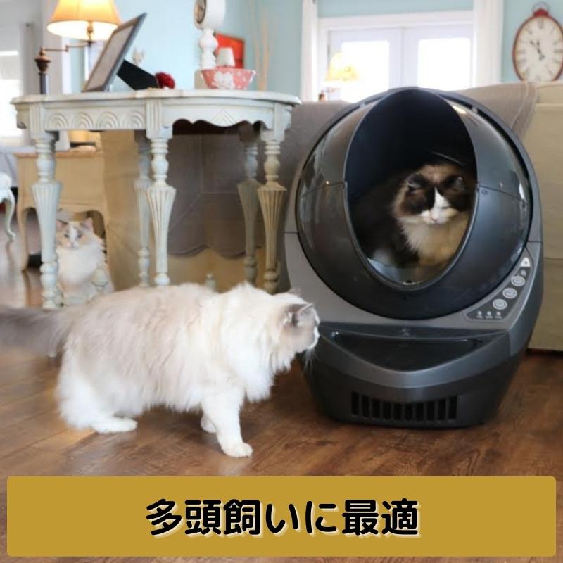 好評 猫用自動トイレlitter 猫用自動トイレlitter robot ○ブランドの