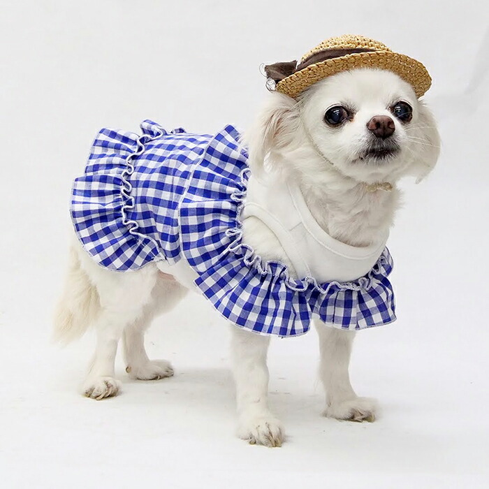 楽天市場】【胴長小型犬向け】重ね着風ドールワンピース型紙 : CELEBDOG