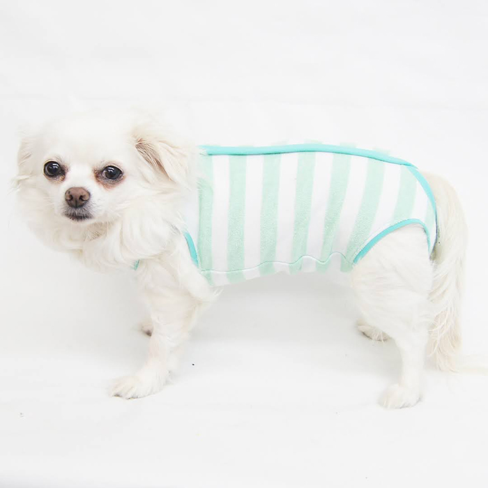 シンプルマナーロンパース型紙 Eco印刷 小型犬向け おトク情報がいっぱい