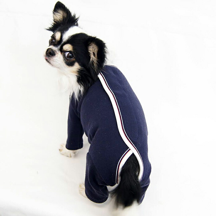 楽天市場】熟練 犬服工房ロンパース・ダックスフンド6サイズ型紙