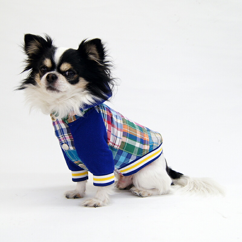 楽天市場 ハイネックフードアウター型紙 Eco印刷 ミニピン向け Celebdog