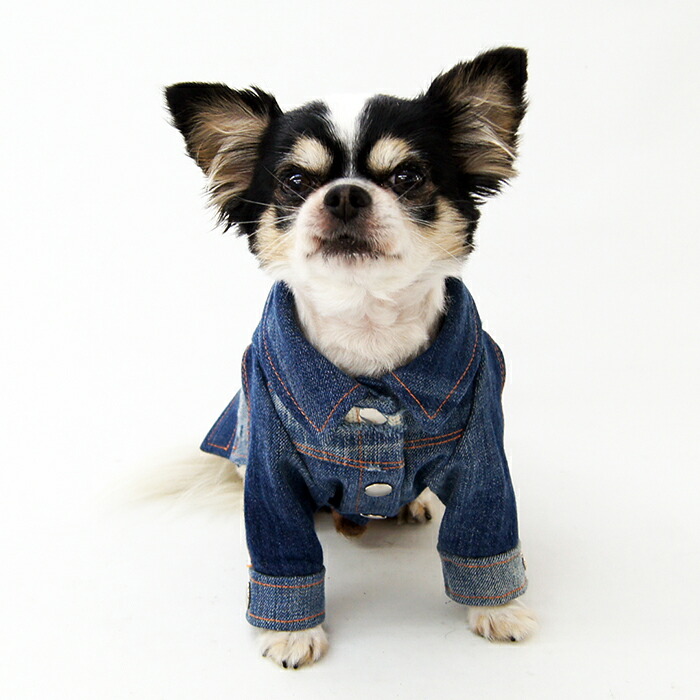 犬用デニムジャケット 小型犬用 楽天市場】いちご刺繍デニムジャケット ドッグウエア 小型犬 犬