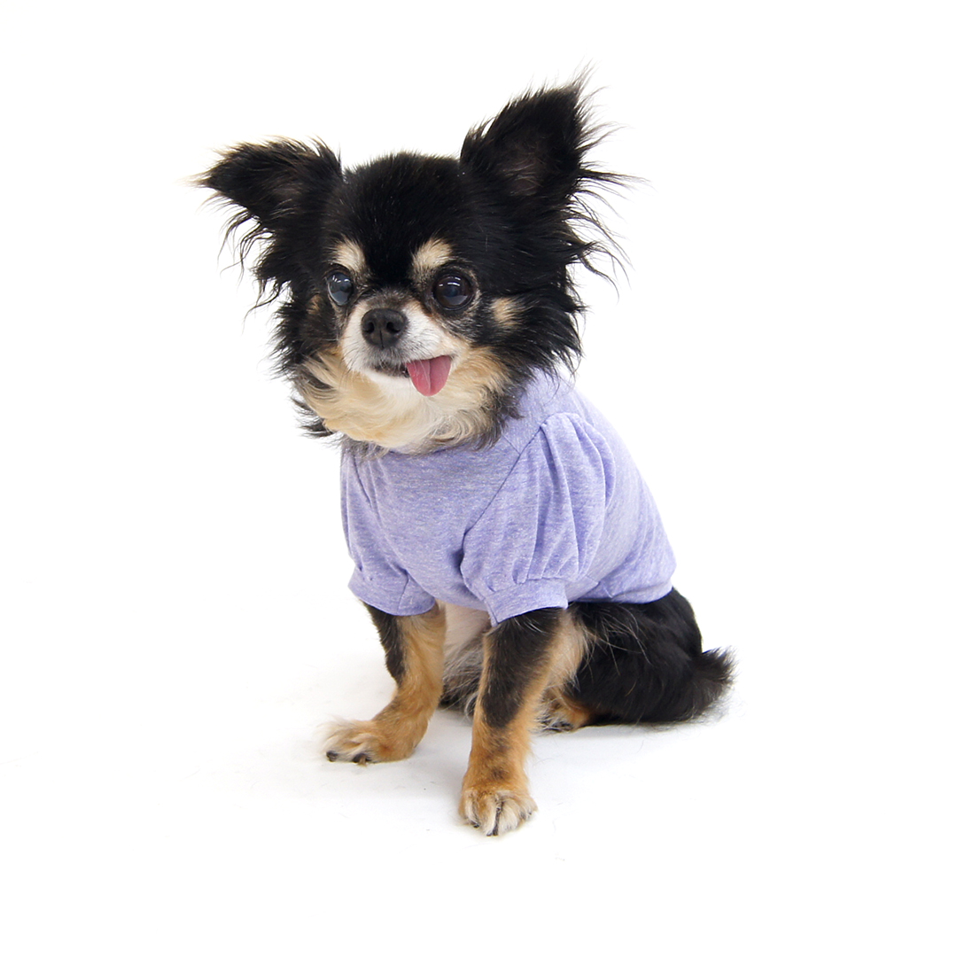 楽天市場】3種袖パフスリーブ型紙 eco印刷 小型犬向け : CELEBDOG